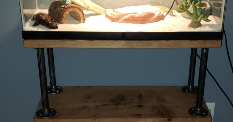 Book Shelf / Lizard Stand