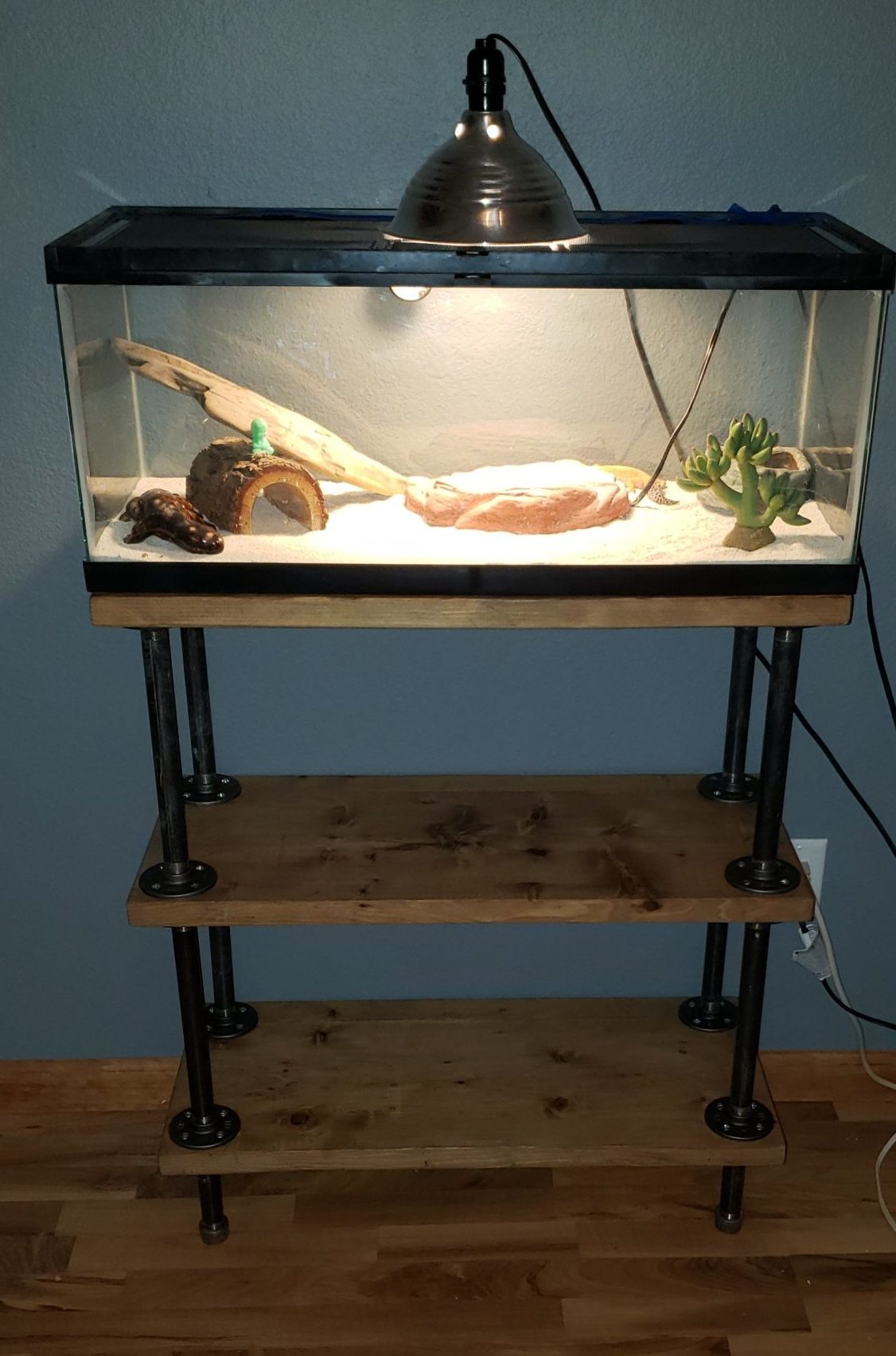 Book Shelf / Lizard Stand