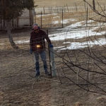 Fencing for the Pups!