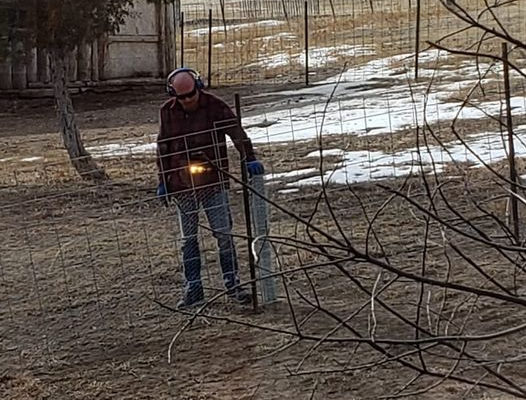 Fencing for the Pups!