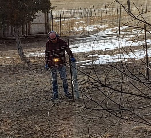 Fencing for the Pups!