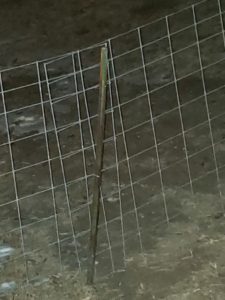 Our First Crooked Pole
