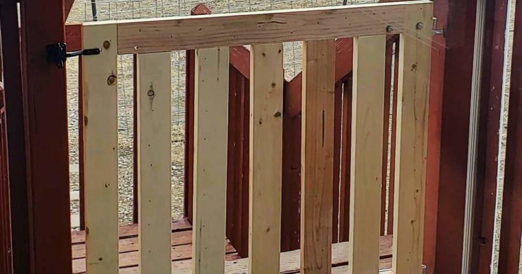 Gate For the Back Deck